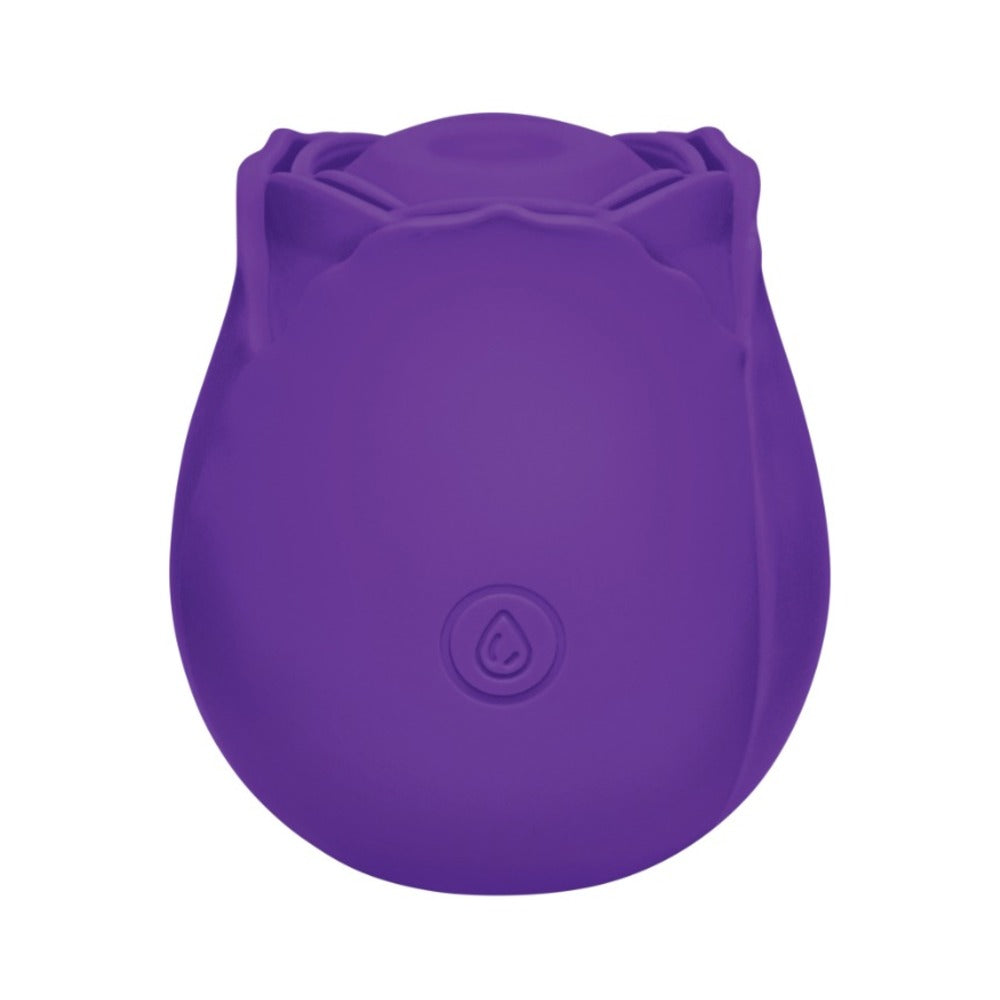 Me You Us Signature The Tapping Rosebud Purple