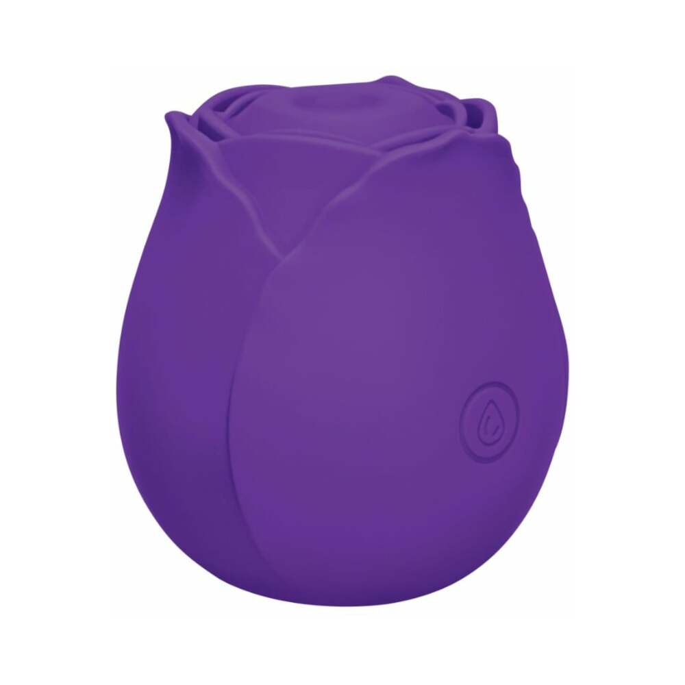 Me You Us Signature The Tapping Rosebud Purple