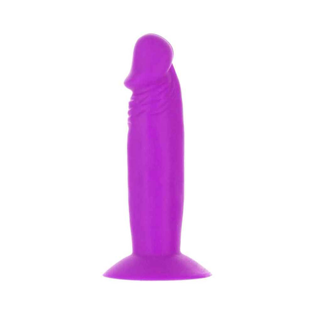 Addiction Silly Willy 3.3 in. Silicone Dildo 12-Piece Assorted Color Fishbowl Display