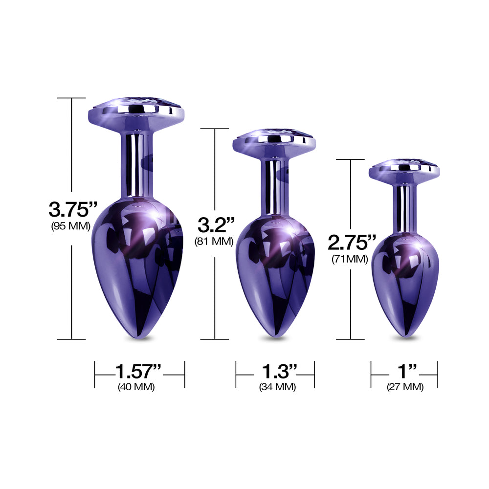 Nixie Metal Butt Plug Trainer Set 3-Piece Purple Metallic