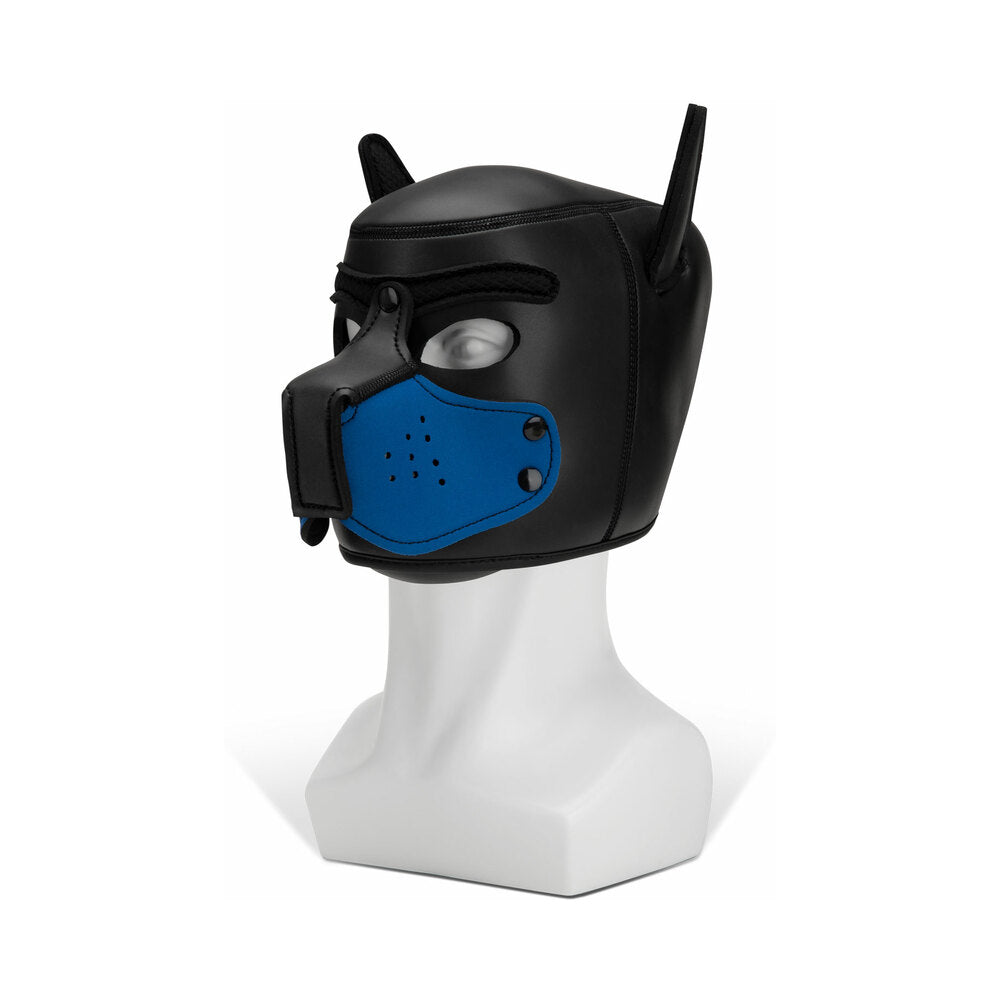 Prowler RED Puppy Muzzle Blue