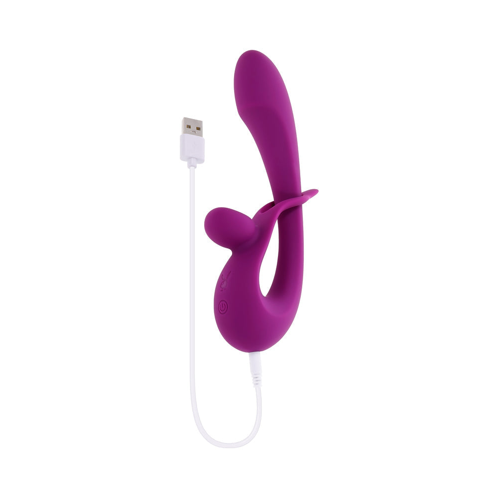 Playboy Cha Cha Slide Wild Aster
