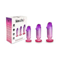 Adam & Eve Sunset Dreams Anal Plug Training Kit