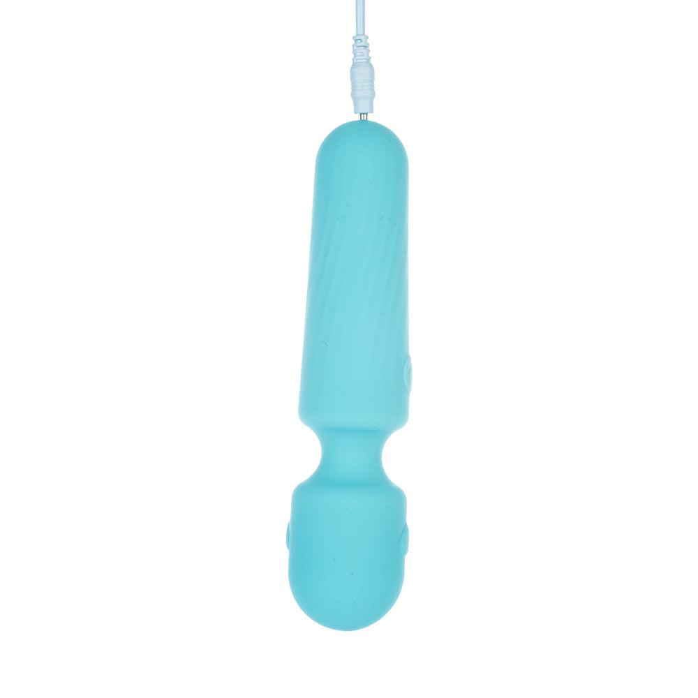 Adam & Eve Heart's Desire Petite Massage Wand